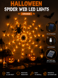 Spider Web LED Lights
