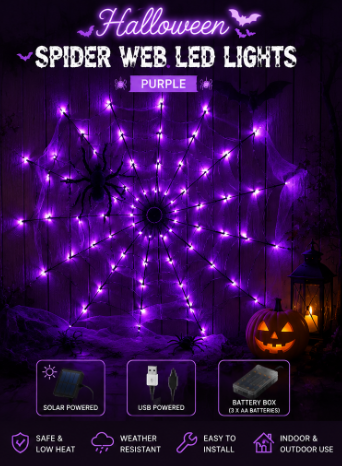 Spider Web LED Lights